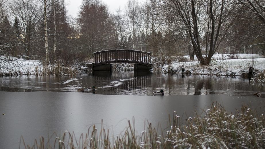 У Кривому Розі діти влаштували небезпечні розваги на тонкій кризі (ВІДЕО)