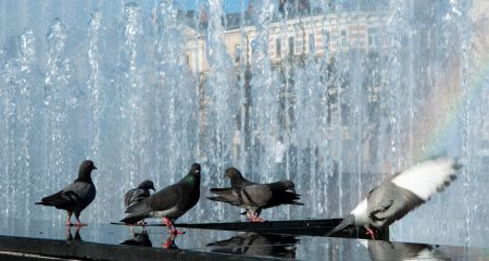 Якою буде погода у Дніпрі та області 14 червня
