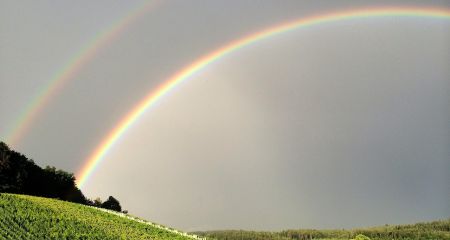 Якою буде погода у Дніпрі та області 19 червня