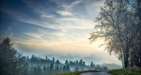 Туман та ожеледиця: якою буде погода у Дніпрі та області 18 грудня