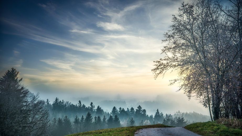 Туман и гололед: какой будет погода в Днепре и области 18 декабря