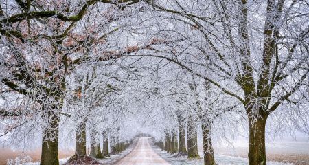 Якою буде погода у Дніпрі та області 19 грудня
