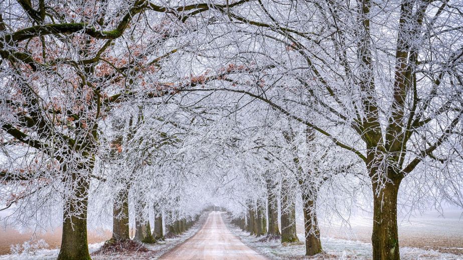 Какой будет погода в Днепре и области 19 декабря