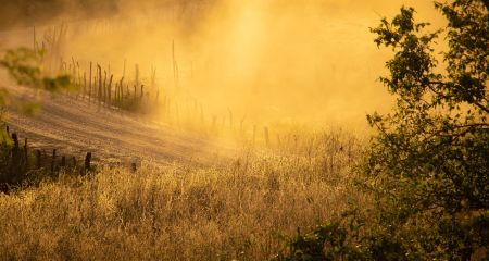 На межі двох районів Дніпропетровщини зафіксували пилову бурю (ФОТО, ВІДЕО)
