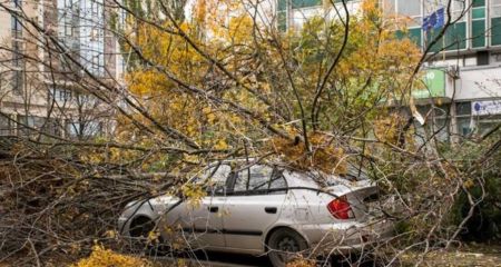 В центре Днепра на припаркованный автомобиль упала ветка (ВИДЕО)