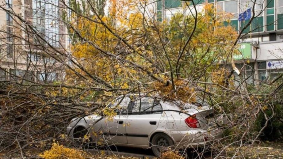 В центре Днепра на припаркованный автомобиль упала ветка (ВИДЕО)