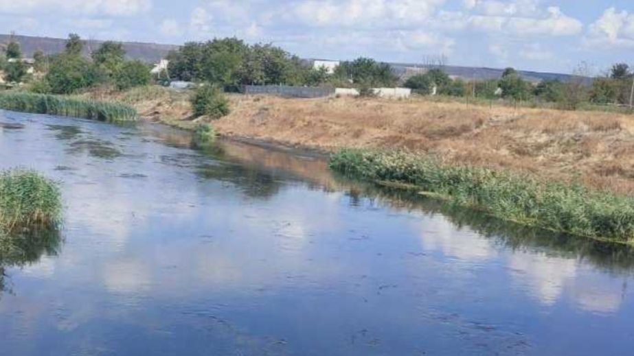 Екологи заявили про забруднення води у річці Саксагань