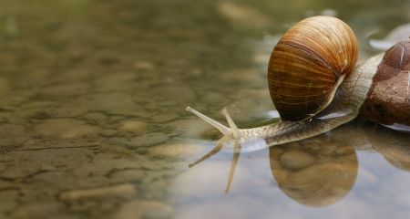 У Кривому Розі зʼявилася нова водойма посеред вулиці, до дитсадка треба плисти на човні  (ФОТО, ВІДЕО)