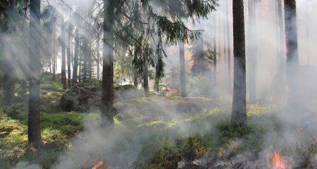 На території Дніпропетровщини зберігається надзвичайний рівень пожежної небезпеки