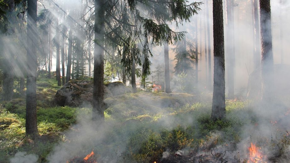 На территории Днепропетровской области сохраняется чрезвычайный уровень пожарной опасности