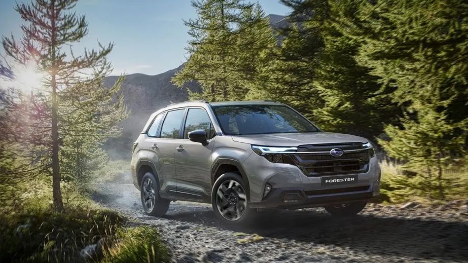 Тест-драйв оновленого Subaru Forester: нові технології, комфорт і можливості поза дорогами