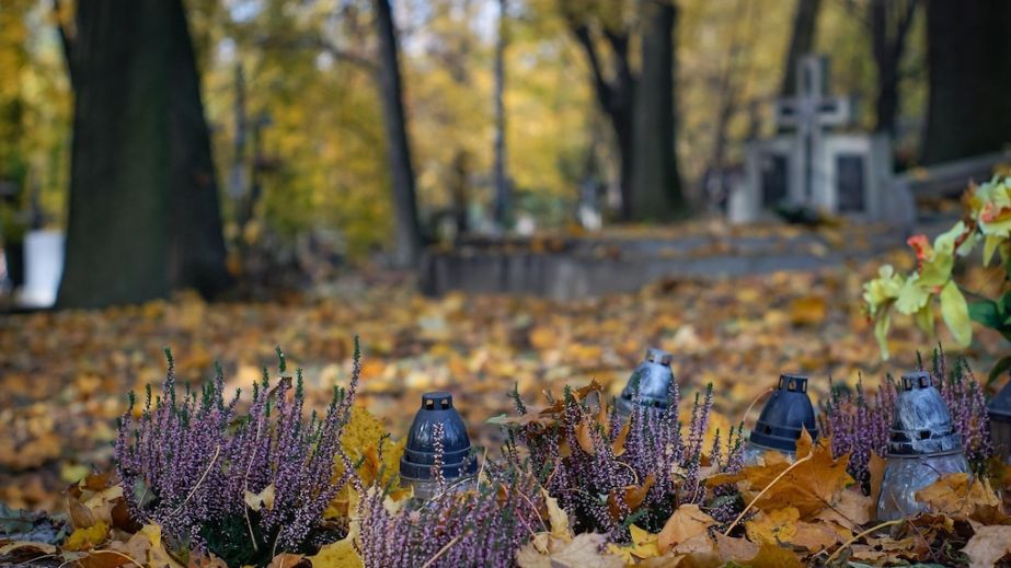 Ворог завдав авіаудару КАБами по Дніпропетровщині: у Просяній пошкоджено кладовище (ФОТО)