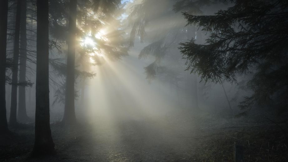 Туман та дощ: якою буде погода у Дніпрі та області 29 січня