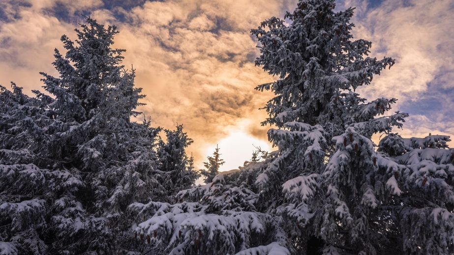 Негода набирає обертів: якою буде погода у Дніпрі 19 лютого
