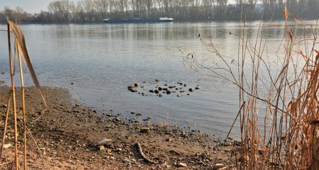 Вода підступає до приватних будинків: на Дніпропетровщині одразу дві річки вийшли з берегів (ФОТО, ВІДЕО)