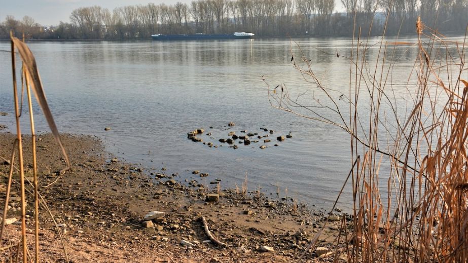 Вода підступає до приватних будинків: на Дніпропетровщині одразу дві річки вийшли з берегів (ФОТО, ВІДЕО)