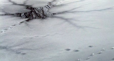 В Кривом Роге дети при плюсовой температуре испытывали лед на прочность (ВИДЕО)