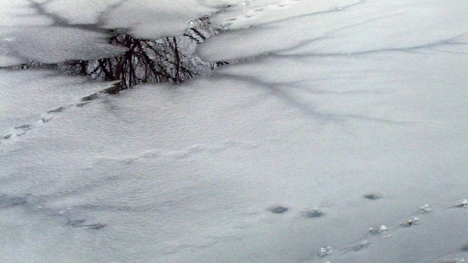 У Кривому Розі діти при плюсовій температурі випробовували лід на міцність (ВІДЕО)