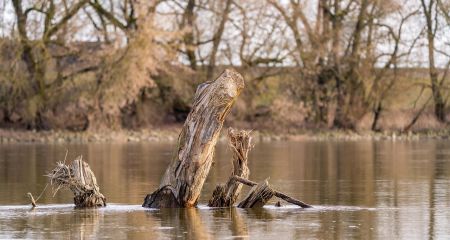 У Дніпрі вода у річці стала каламутною (ФОТО)