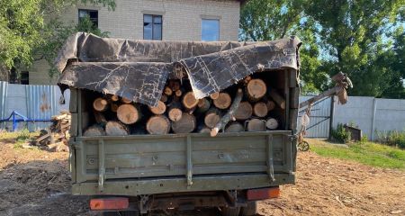 Наркотики, оружие и убытки на 700 тысяч: в Днепропетровской области задержали банду "черных лесорубов" (ФОТО)