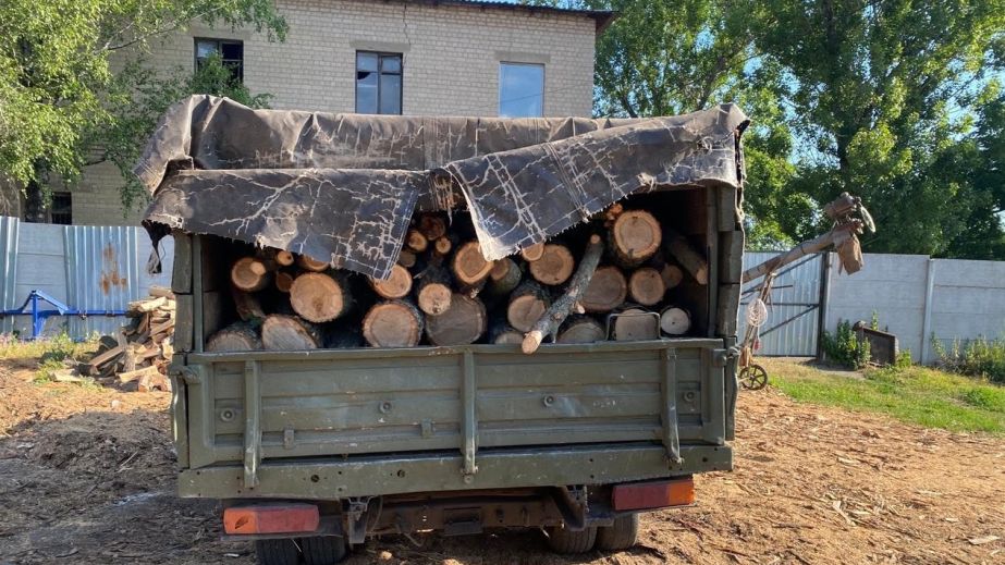 Наркотики, зброя та збитки на 700 тисяч: на Дніпропетровщині затримали банду "чорних лісорубів" (ФОТО)