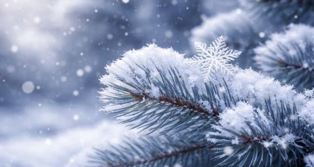 Ожеледиця на дорогах і невеликий сніг: прогноз для Дніпра та області на 25 січня