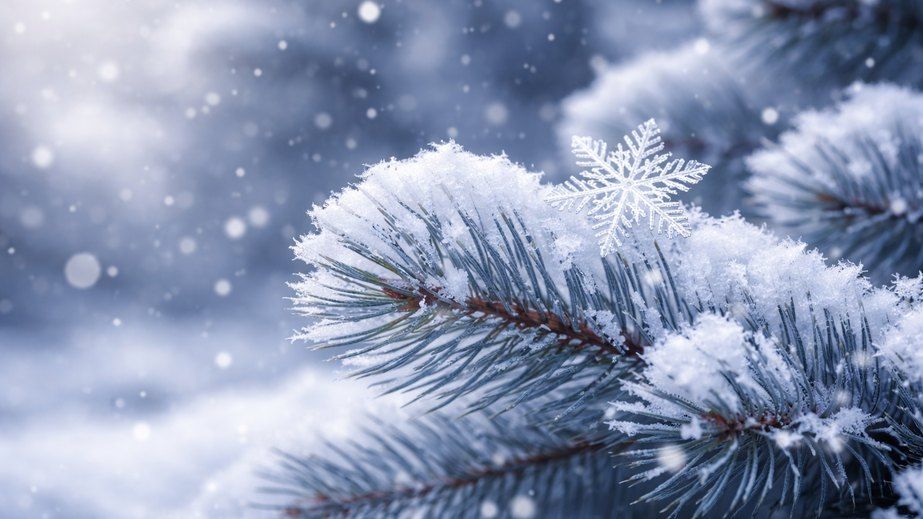 Гололедица на дорогах и небольшой снег: прогноз для Днепра и области на 25 января