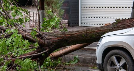 У Дніпрі на Тополі б...