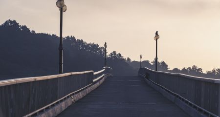 В Днепре самоубийца пытался прыгнуть с моста