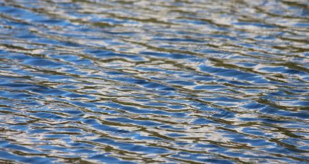 В Днепре спасли человека на водоеме