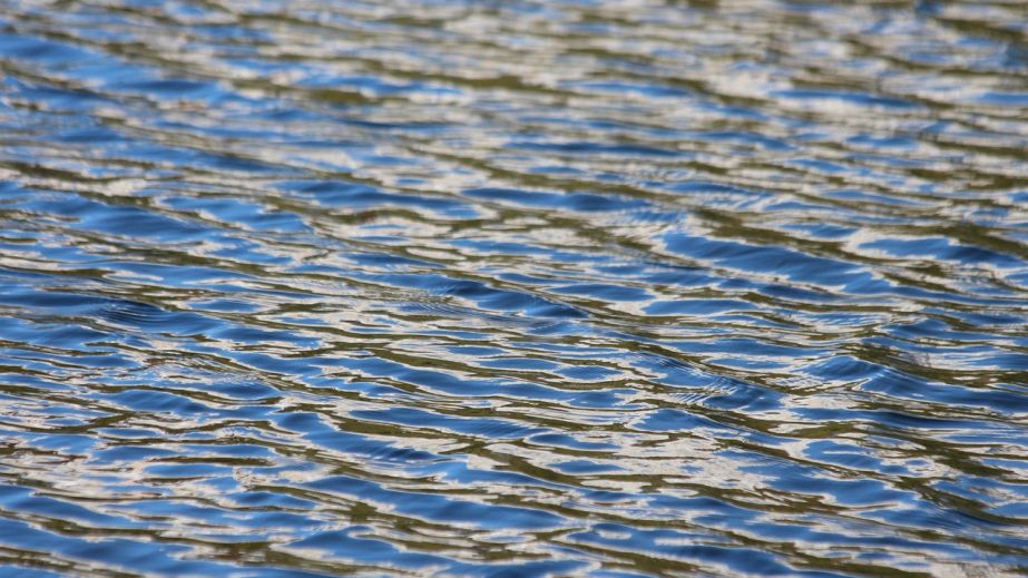 В Днепре спасли человека на водоеме