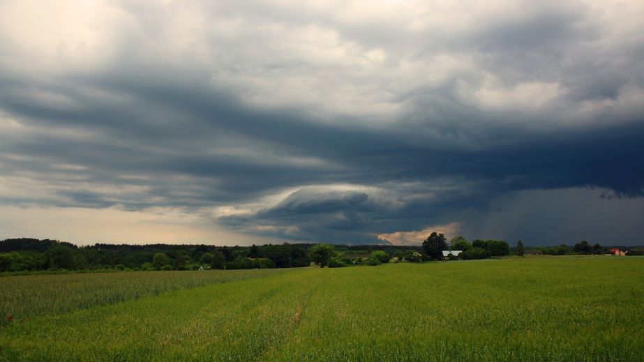Переменная облачность и осадки: какой будет погода в Днепропетровской области 4 июня
