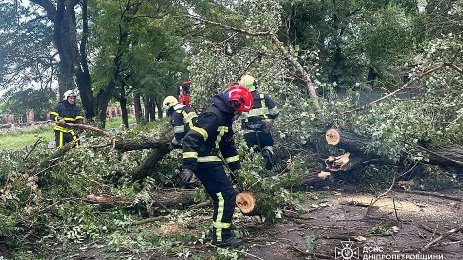 У Павлограді рятувальники прибирали дерево, яке впало на дорогу