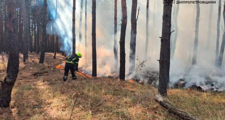 На Дніпропетровщині вирувала лісова пожежа