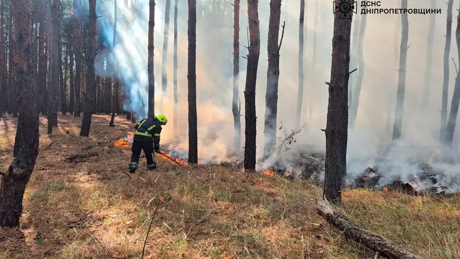 На Дніпропетровщині вирувала лісова пожежа