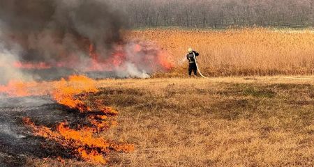 Постраждала людина та тварини: на Дніпропетровщині вигоріли понад 100 га землі (ФОТО)