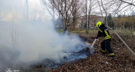 На Дніпропетровщині за добу сталося 70 пожеж в екосистемах