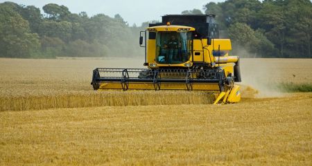 На Дніпропетровщині вже зібрали понад 2,2 млн тон зернових та зернобобових