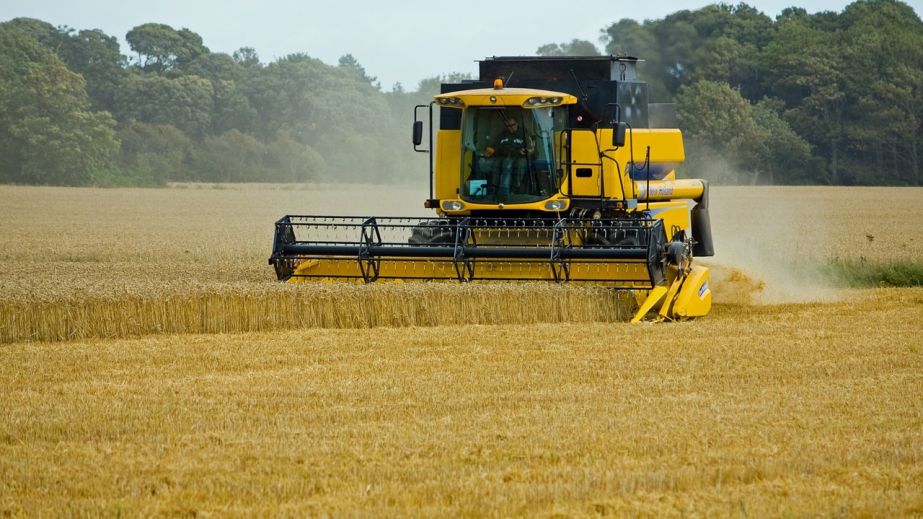 На Дніпропетровщині вже зібрали понад 2,2 млн тон зернових та зернобобових