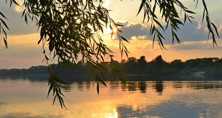 У Дністрі виявили тіло потопельника з Дніпропетровщини обвите водоростями