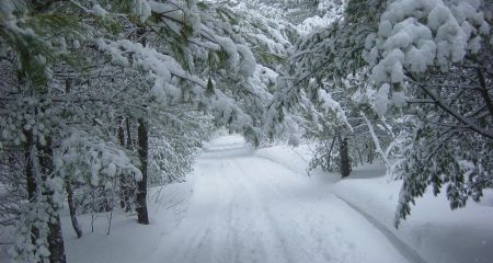 Хуртовина та пориви вітру: якою буде погода у Дніпрі та області 26 грудня