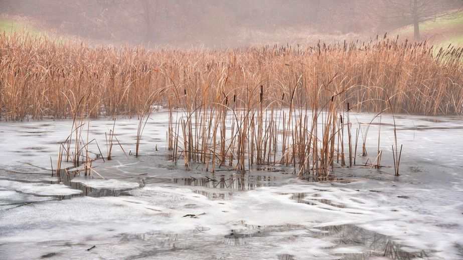 В Кривом Роге дети устроили игры рядом с прорубью на водоеме (ФОТО, ВИДЕО)