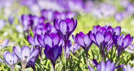 Тепло і невеликий дощ: якою буде погода у Дніпрі та області 25 березня