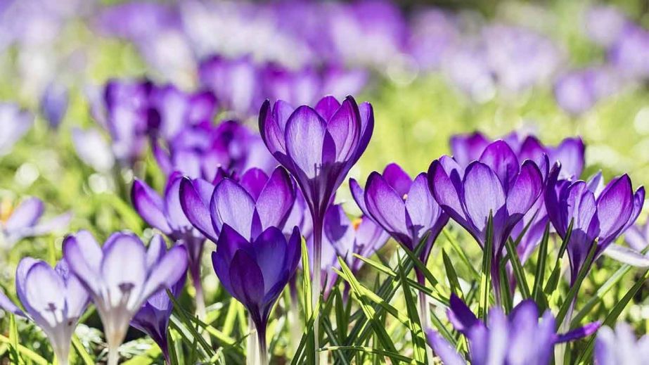 Тепло і невеликий дощ: якою буде погода у Дніпрі та області 25 березня